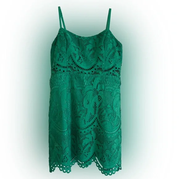 Lilly Pulitzer Brazilian Green Risette Lace Dress - Picture 2 of 15